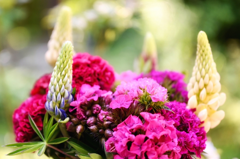 fleuriste-LUCERAM-min_flowers-5369794